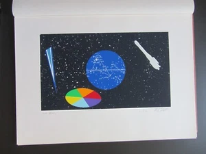 LUCIO DEL PEZZO cartella 4 litografie-collages dimensioni 70 x 49 cm SNIA 1990 - Imagen 1 de 8