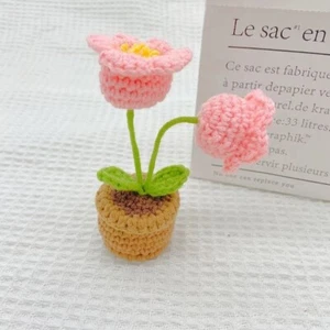 Bellflower Pot Handmade Crochet Knitted Woven Ornament Gift Home Office Decor - Picture 1 of 4