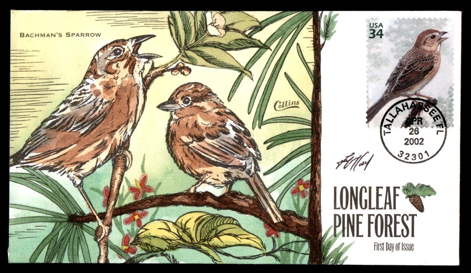 Mayfairstamps US FDC 2002 Bachman's Sparrow Birds Collins Hand Painted first Day - Image 1 of 2