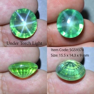 18.50 Ct 15.5x14.3 MM Green Star Sapphire 6 Rays Lab Corundum VDO SGS9378 - Picture 1 of 6