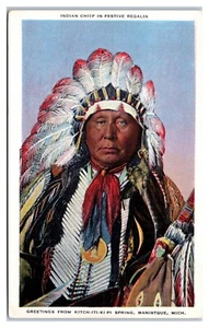Tarjeta postal Saludos desde Kitch-iti-ki-pi Spring Manistque Michigan Indian Chief - Imagen 1 de 2