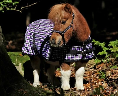 Regendecke Outdoor Minishetty Mini Shetty 65 REST RAUS  Falabella Lila Karo TY - Bild 1 von 4