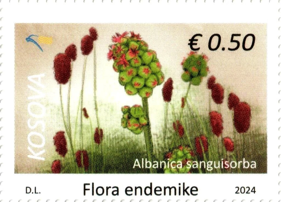 Estampillas de Kosovo 2024. Flora: Albanica sanguisorba. Sellos definitivos 0,50 MNH Foto 1 de 1