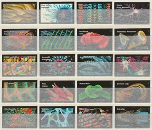USA Sc. 5802u (F) Life Magnified 2023 MNH 20 Singles ***OHNE DIE CUT*** - Bild 1 von 1