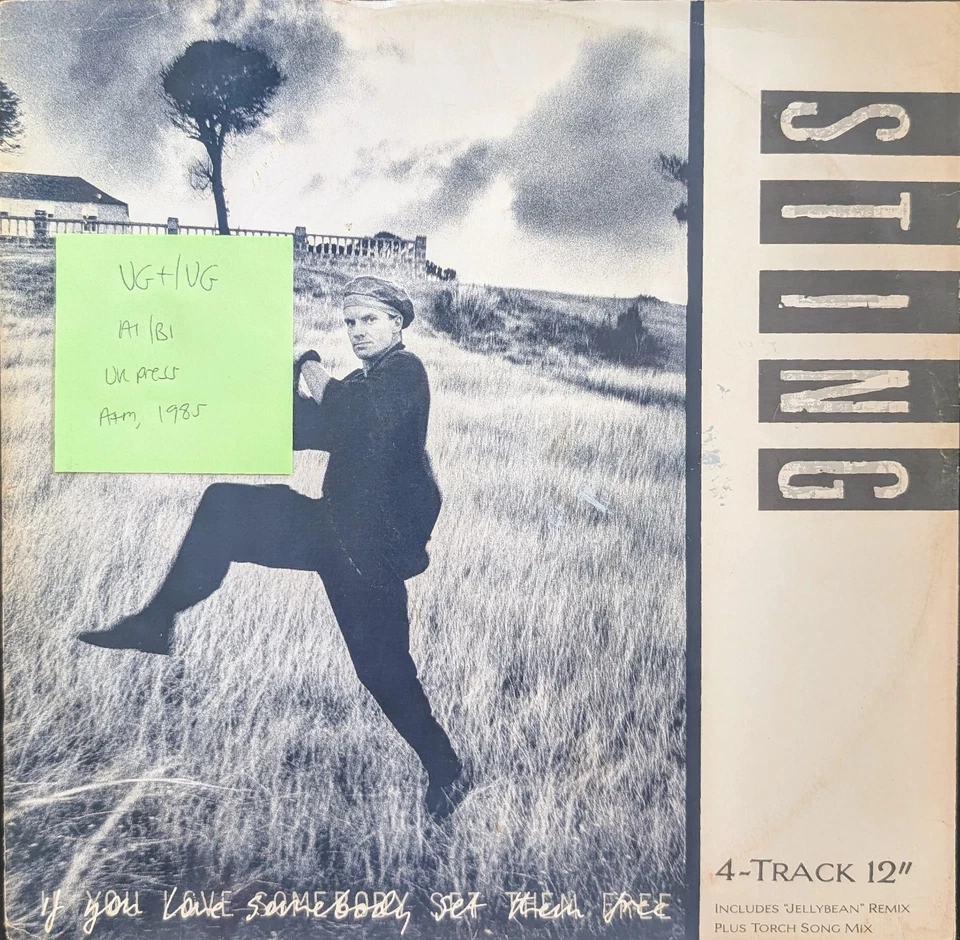 Sting If You Love Somebody Set Them Free Vinyl Record VG+/VG AMY258 1985 Foto 1 de 2