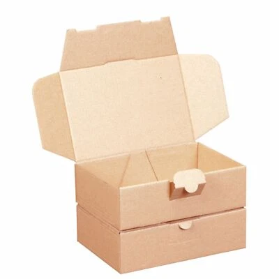 SMILEY PACK 100 Maxibriefkartons 160 x 110 x 50 mm braun DIN A6 Warensendung Faltkarton