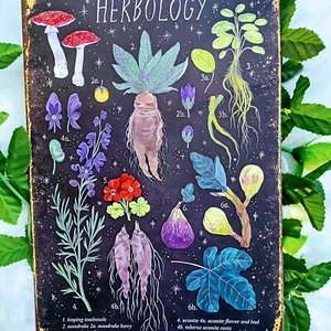Herbology Sign. Wicca. Witchcraft. Home Decor - Picture 1 of 7