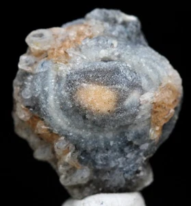 CHALCEDON ACHAT ROSETTE Concha Rose Mineral Druzy Kristall Cluster BRASILIEN - Bild 1 von 4