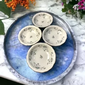 Johann Haviland Bavaria Germany Blue Garland Fruit Bowls Set of Four 5" - Picture 1 of 5