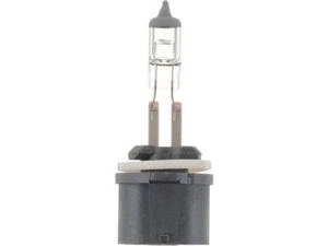 Philips Fog Light Bulb fits Dodge Ram 1500 1994-1998 14GMXP - Picture 1 of 1