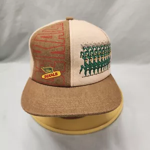 SELTENE Vintage Dekalb Samen Mütze SPELLOUT Colorblock Druckknopflasche K-Produkte - Bild 1 von 7