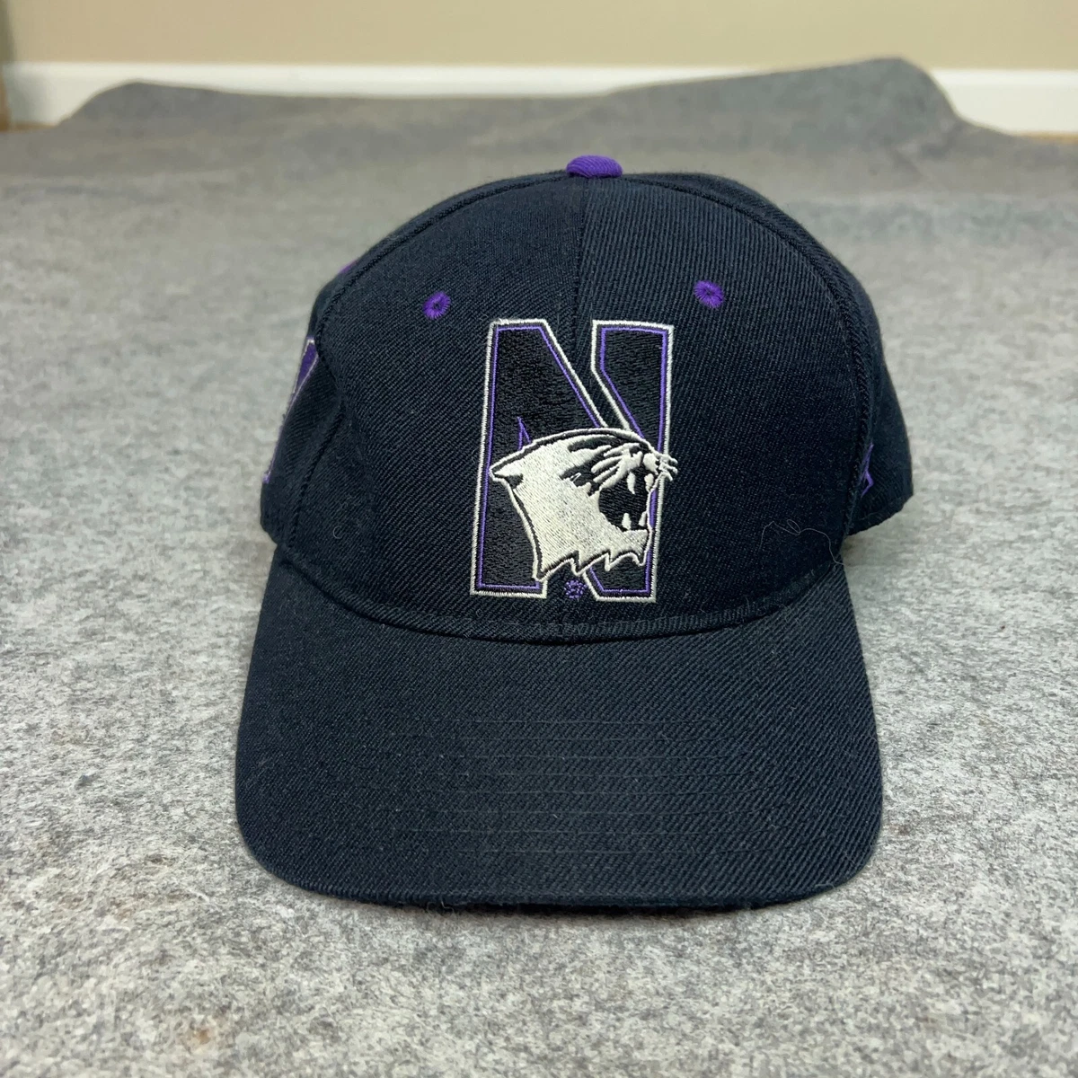 Desert Cactus Northwestern University Wildcats Baseball Hat - Adjustable Cloth Strap, Embroidered, Gray (Style B)
