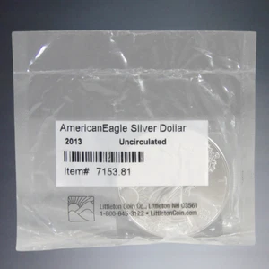 2013 LITTLETON AMERICAN EAGLE SILVER $1 DOLLAR UNCIRCULATED COIN #7153-81 - Picture 1 of 2