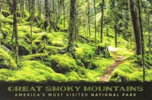 Postal Parque Nacional Great Smoky Mountains de Carolina del Norte Tennessee COMO NUEVA - Imagen 1 de 1