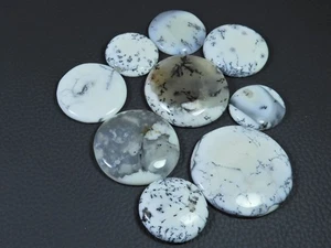 9Pcs Natural Dendrite Opal Round Shape Cabochon Loose Gemstone Lot 221cts. u552 - Bild 1 von 9