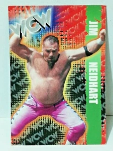 1999 WCW #060 JIM NEIDHART TCG Wrestling Trading Card Rare PERU Edition WWF WWE - Picture 1 of 2