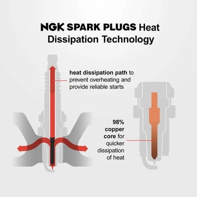 Spark Plug-Standard NGK 5534 - Image 1 of 2