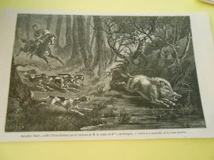 Gravure 1874 - Sanglier blanc chasse en Sologne - Picture 1 of 1