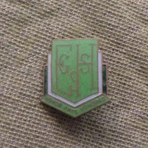 #D312.  EAST  HILLS GIRLS SCHOOL   LAPEL  BADGE  - Bild 1 von 2