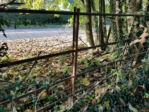 iron fencing - Picture 1 of 1