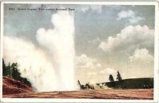 Postcard SCENE Yellowstone National Park Wyoming WY AJ1721