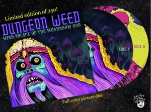 DUNGEON WEED - MIND PALACE OF THE PILZ GOD, 2020 BILD DISC LP, 250 KOPIEN - Bild 1 von 1