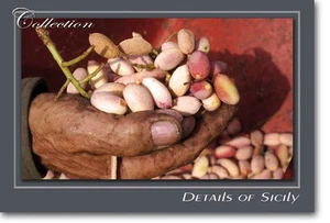 CARTOLINA DA COLLEZIONE - Pistacchio di Bronte - Dettagli di Sicilia - Foto 1 di 1