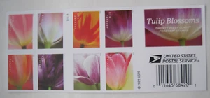 Ganzseitiges Fensterbuch 20 USPS Forever USA Briefmarken Tulpenblüten unbenutzt Heft '22 - Bild 1 von 4