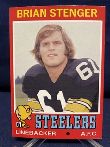 Brian Stenger Autographed Pittsburgh Steelers Custom Card - Picture 1 of 2