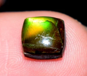 .Natural Ammolite Gemstone Cabochon 1.40 Ct Loose Ammolite Gemstone - Picture 1 of 5