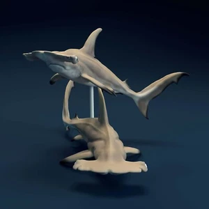 Hammerhead Shark – 3D Printed Model - Unpainted - Animals Miniatures - Imagen 1 de 13