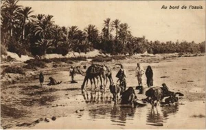 CPA AK TUNISIA Au bord de l'Oasis (1102761) - Picture 1 of 2