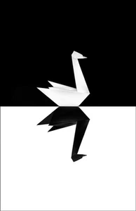 The Black Swan - Picture 1 of 1