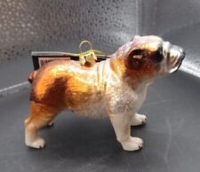 Robert Stanley Glass English Bulldog Dog Christmas Ornament With Tags