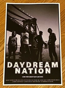Sonic Youth Daydream Nation 2018 FRAMED POSTER Lance Bangs Concert Film Promo - Picture 1 of 6