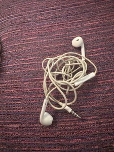 APPLE Wired Earphones Earbuds Pre owned Used 2-3 Times From iPhone 9 - Photo 1 sur 3