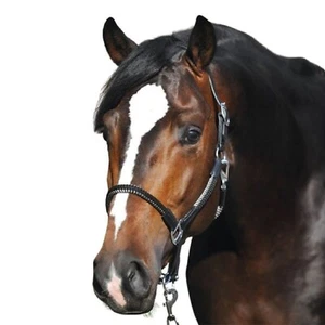 Seil-Halfter "Cavo" mit Strick - Bild 1 von 4