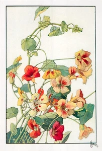 Vintage Floral Print, Nasturtiums, Keramic Studio 1916 botanical art 13x10 - Picture 1 of 3