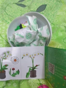 Zuru Mini Brands Create Garden Orchid Pot - Picture 1 of 1