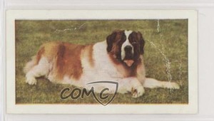 1961 Horniman's Dogs Tea St Bernard #40 1u6