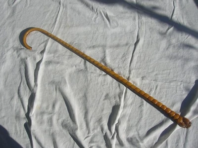 ancienne canne de marche de maquignon fabriqué avec un nerf de boeuf - Photo 1/4