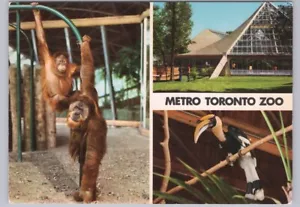 Metro Toronto Zoo, Ontario, Canada, Chrome 3 Views Multiview Postcard #1 - Picture 1 of 2