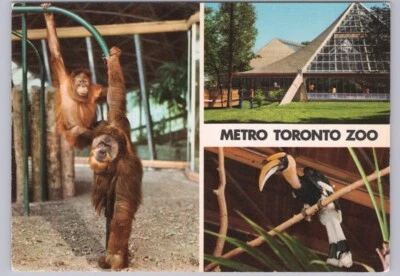 Metro Toronto Zoo, Ontario, Canada, Chrome 3 Views Multiview Postcard #1 - Image 1 of 2
