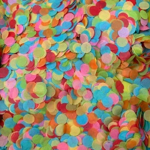 Biodegradable Wedding Confetti Rainbow Circle Eco Friendly Tissue Paper UK - Picture 1 of 4