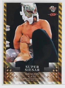 SUPER SIESAR - 2008 BBM DRAGON GATE Pro-Wrestling Trading Card - Picture 1 of 3