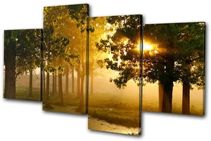 Landschaften Wald MULTI LEINWAND WANDBILD Bild Druck VA - Bild 1 von 1