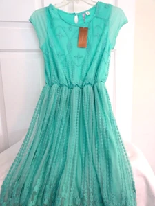 Francesca's Ladies Aqua Lined Lacy Dress Size S NWT Netting Overlay Elastic Wais - Picture 1 of 12