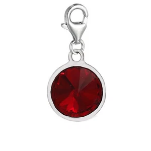 Sexy Sparkles January Clip On Birthstone Charms with Lobster Clasp Claw for Brac - Picture 1 of 2