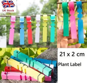 UK Stock Loop Lock Garden PVC Plant Label Tree Self Tie Tags Waterproof 21 x 2cm - Picture 1 of 24