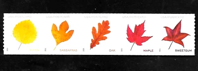 VIBRANT LEAVES #5971-5975 US POSTCARD RATE 5 FOREVER STAMPS SET APU COIL STRIP - Image 1 of 3